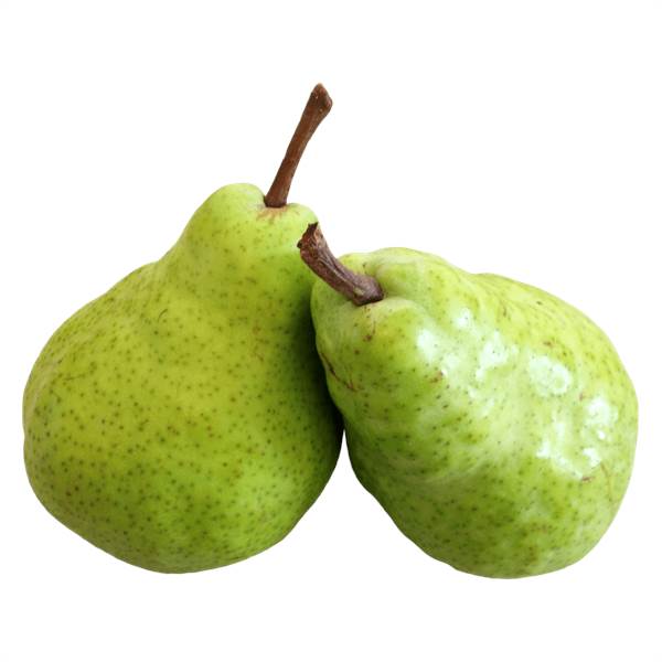 Pears Indian (Pack of 4) Fruit
